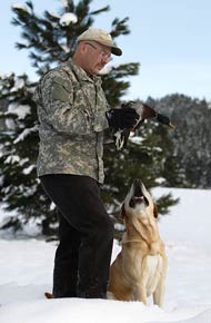 john trains champion labradors