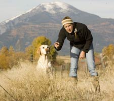 Laura McCarthy training a champion labrador